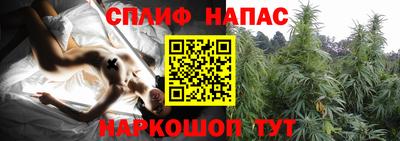 амф Камышлов