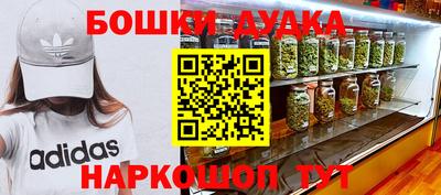 стаф Кандалакша